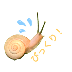 [LINEスタンプ] 生き物たちと共に