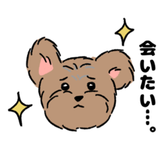 [LINEスタンプ] もみちゃんの日常スタンプ