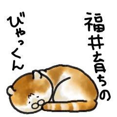 [LINEスタンプ] 福井育ちのびゃっくん
