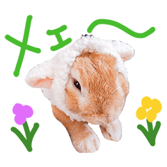 [LINEスタンプ] 耳たれうさぎのムーさん vol.4