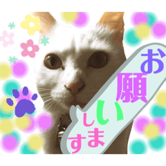 [LINEスタンプ] ヒサのアイドル