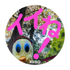 [LINEスタンプ] KIIBO_8(アゲアゲ一言お返事)の画像（メイン）