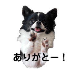 [LINEスタンプ] チワワのちくわ④