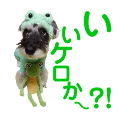 [LINEスタンプ] Jackの日常スタンプ6