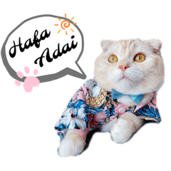 [LINEスタンプ] トト君メロちゃんスタンプ②