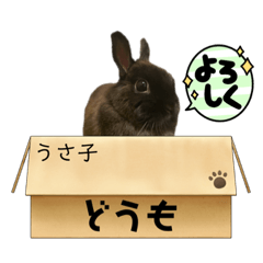 [LINEスタンプ] 我が家のうい様 第2弾 うさ子スタンプ