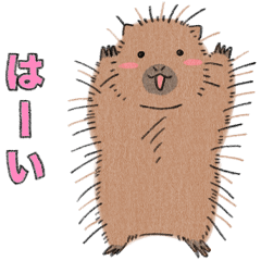 [LINEスタンプ] 明日のあなたを元気にするカナダヤマアラシ