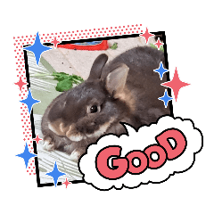 [LINEスタンプ] うさ＆ラビィ①