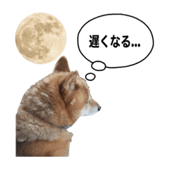 [LINEスタンプ] プライベートKOTA