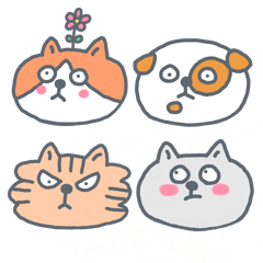 [LINEスタンプ] いろいろねこ 1