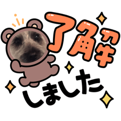 [LINEスタンプ] だいじまる4