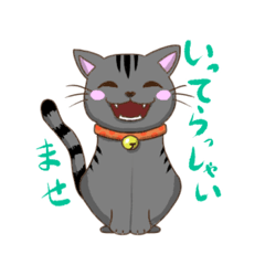 [LINEスタンプ] 色んな柄の敬語猫ちゃん