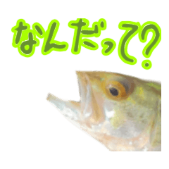 [LINEスタンプ] シュールな魚スタンプ