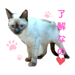 [LINEスタンプ] 凛ちゃんなの②仲間もいるなの