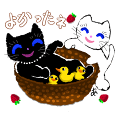 [LINEスタンプ] 「しらたま＆くろみつ」ねこ・ぬこcute cats