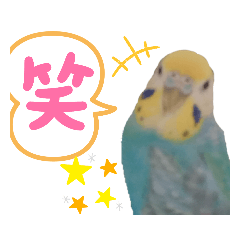 [LINEスタンプ] 使いやすい！せきせいいんこのベリー総集編