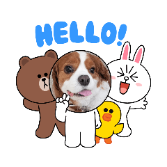 [LINEスタンプ] 夏バーゲン犬