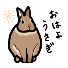 [LINEスタンプ] たちみみうさぎ(茶)【あいさつ】