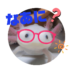 [LINEスタンプ] ウーパーもちこと一緒 5