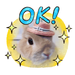 [LINEスタンプ] うさぎの瑠美ちゃん