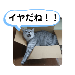 [LINEスタンプ] レオとソラのスタンプ 2