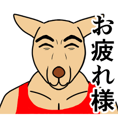 [LINEスタンプ] カンガルーMr.アキ夫