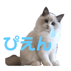 [LINEスタンプ] らぐどーーーる