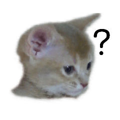[LINEスタンプ] アビシニアン小猫