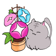 [LINEスタンプ] むちっと猫スタンプ ちょこっと夏Ver