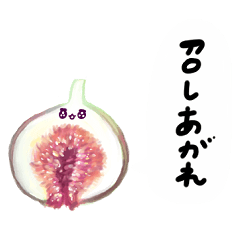 [LINEスタンプ] イチヂクさんと仲間たち