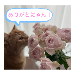[LINEスタンプ] リアスタンプ2