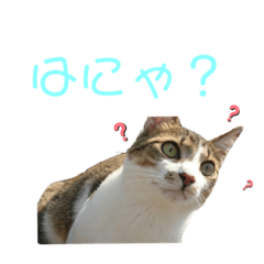 [LINEスタンプ] やせごろう2