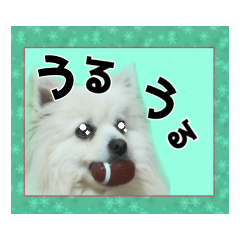[LINEスタンプ] るなちゃんすたんぷ！
