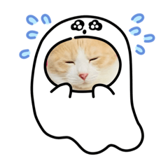 [LINEスタンプ] ソラマメ姉弟
