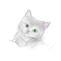 [LINEスタンプ] 32枚の猫の肖像画