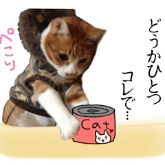 [LINEスタンプ] のんびりカノン君のスタンプ