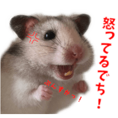 [LINEスタンプ] はぴおくんのスタンプです。