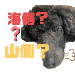 [LINEスタンプ] 神戸弁のトイプードル仁＆礼です