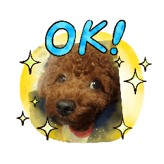 [LINEスタンプ] ペット(*ˊᗜˋ*)♡ルンルン