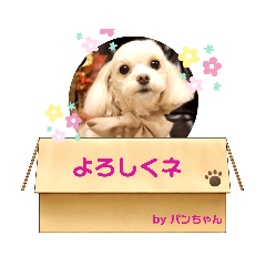 [LINEスタンプ] Choco＆Pan
