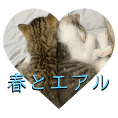 [LINEスタンプ] 春とエアル
