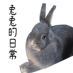 [LINEスタンプ] 灰色うさぎ小梅の日常