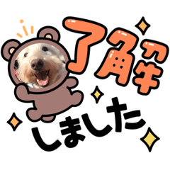 [LINEスタンプ] つみれ ①