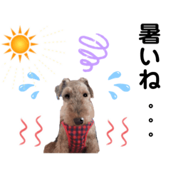 [LINEスタンプ] ウェルシュテリア ♡ジェリーさんの1日(16)