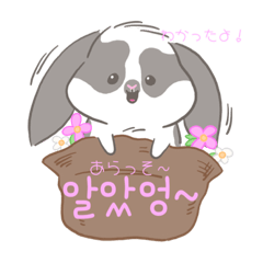 [LINEスタンプ] HELLO！スージー(かわいい韓国語)