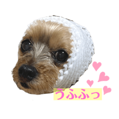 [LINEスタンプ] 松永ひめちゃんのスタンプ3