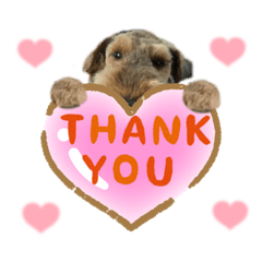 [LINEスタンプ] ウェルシュテリア ♡ジェリーさんの1日(17)