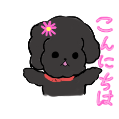 [LINEスタンプ] 毎日使える！トイプードルのミミ！