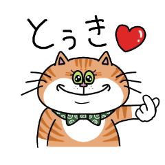 [LINEスタンプ] 猫のみーたんの毎日スタンプ