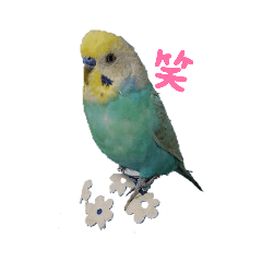 [LINEスタンプ] LOVE♡クルちゃん